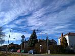 Borovina