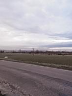 Syrovátka