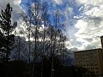 Borovina