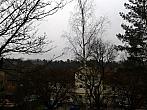 Borovina