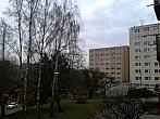Borovina