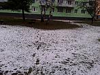 Borovina