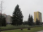 Neratovice