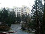 Borovina