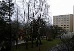 Borovina