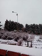Stonava