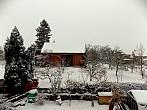 Kvasice