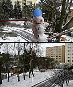 Borovina