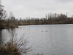 Neratovice