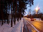 Borovina