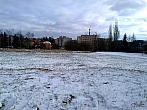 Borovina