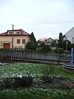 Třibřichy