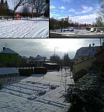 Borovina