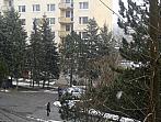 Borovina
