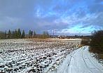 Borovina