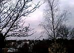 Borovina