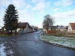 Třibřichy