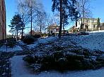 Borovina