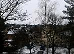 Borovina