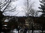 Borovina