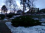 Borovina