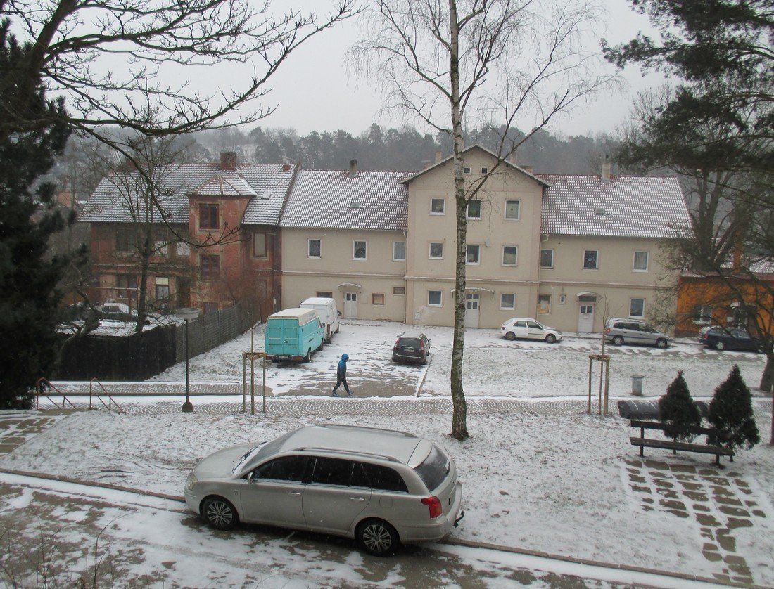 Borovina