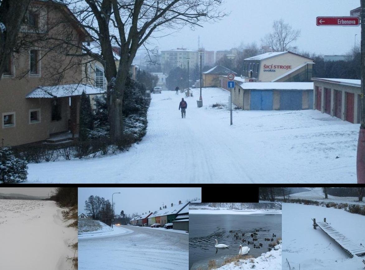 Borovina