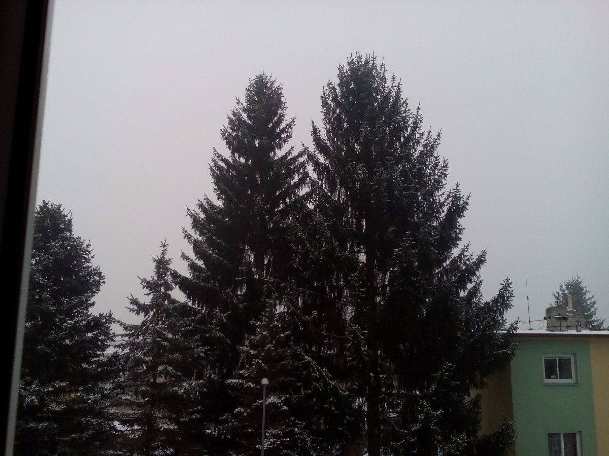 Jirkov