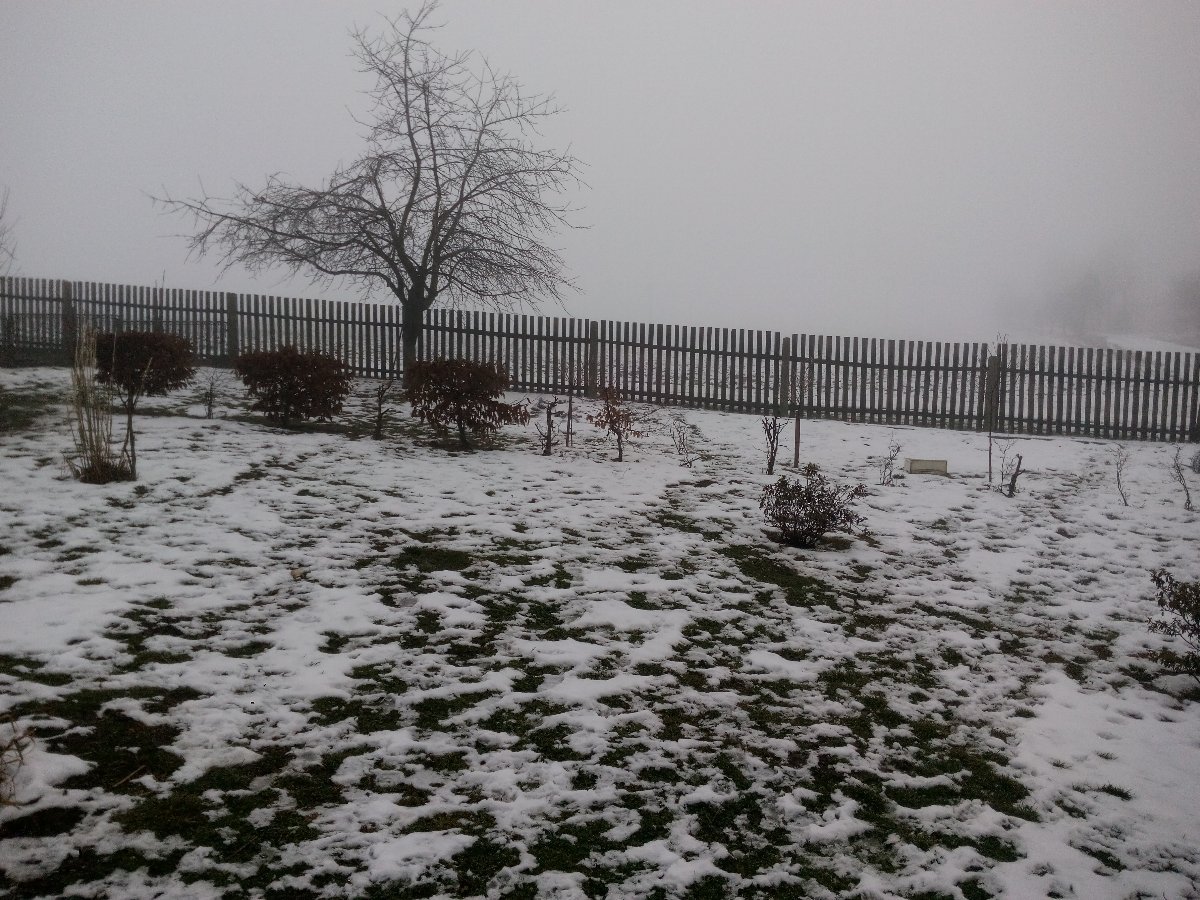 Babice