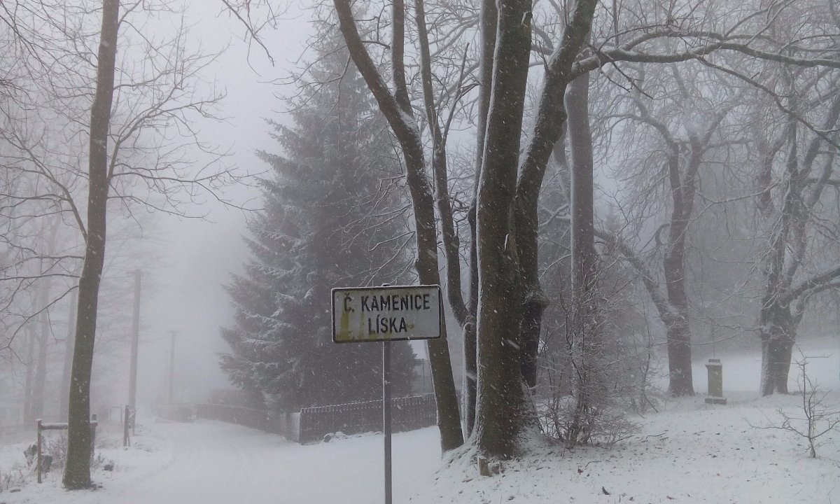 Líska