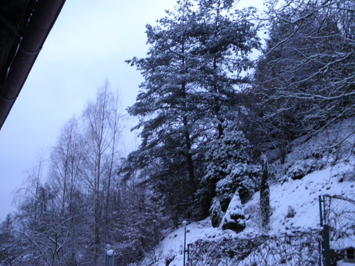 Děčín