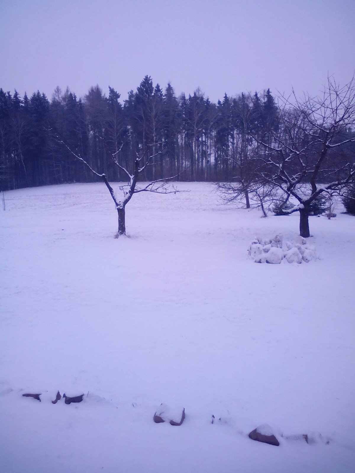Libotov