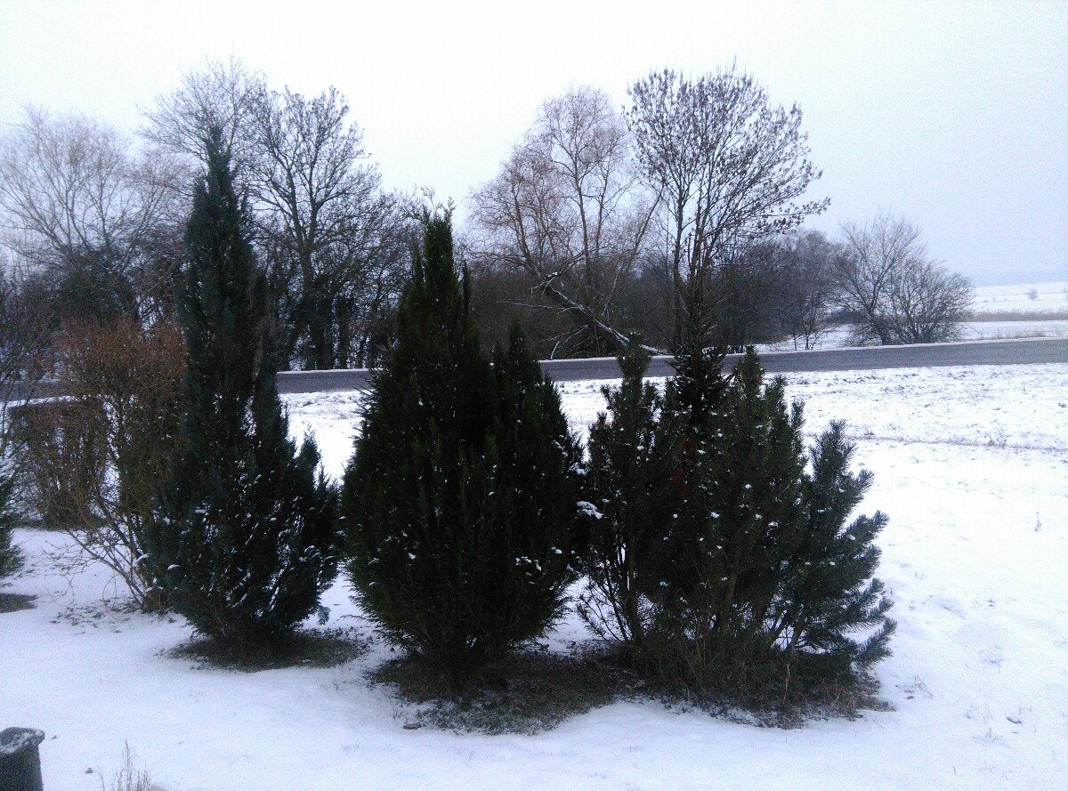 Dětenice