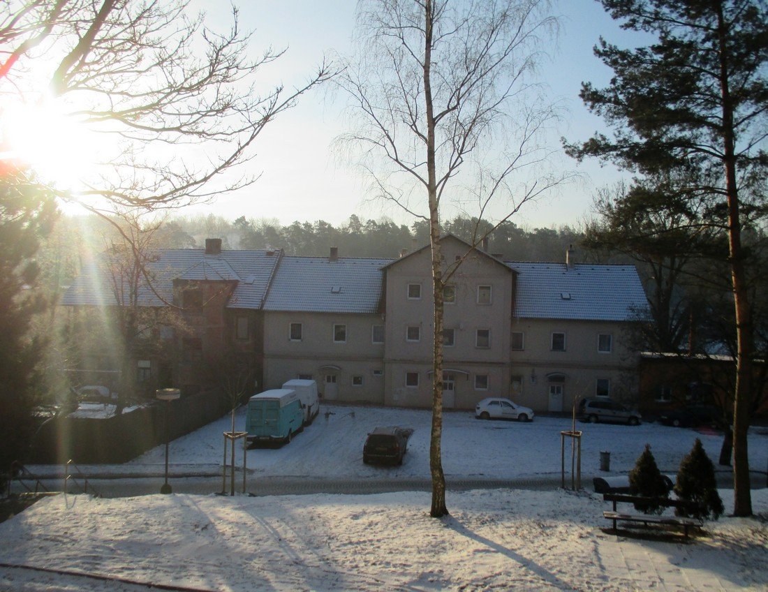 Borovina