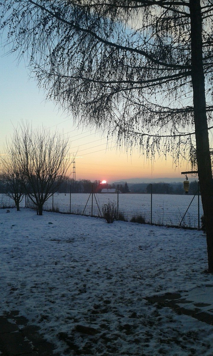 Ostarva