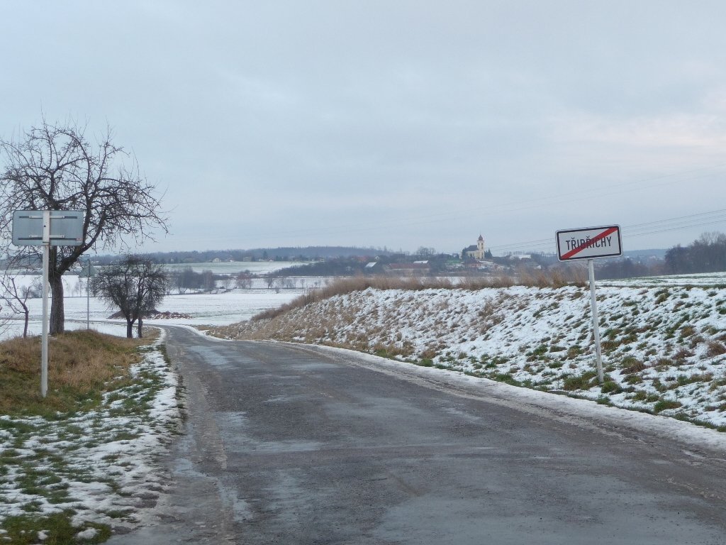 Třibřichy