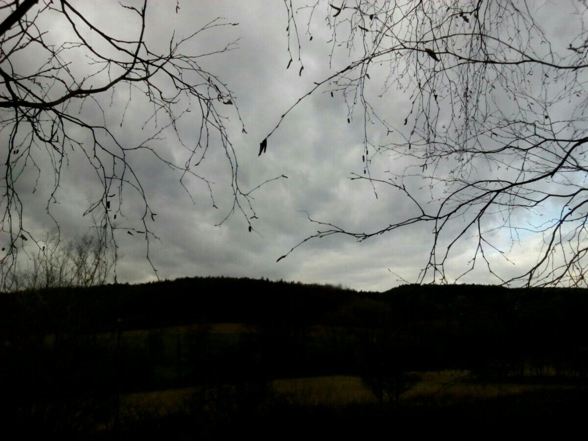 Habrovany