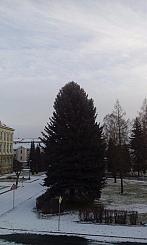 Varnsdorf