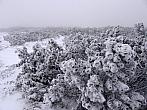 Petrovy kameny