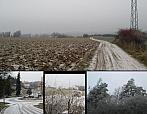 Borovina