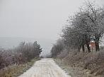 Kracovice