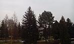 Varnsdorf
