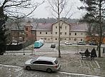 Borovina