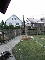 Třibřichy