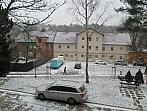 Borovina