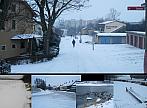 Borovina