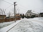 Třibřichy