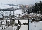 Borovina