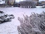 Borovina
