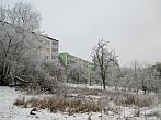 Borovina